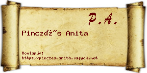 Pinczés Anita névjegykártya